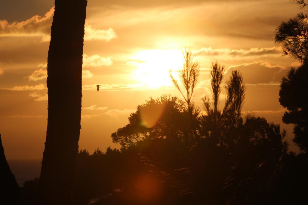 Villa Calanques Ensuès-la-Redonne Kültér fotó